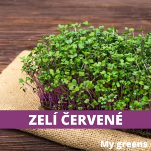 Zelí červené microgreens semena 40g