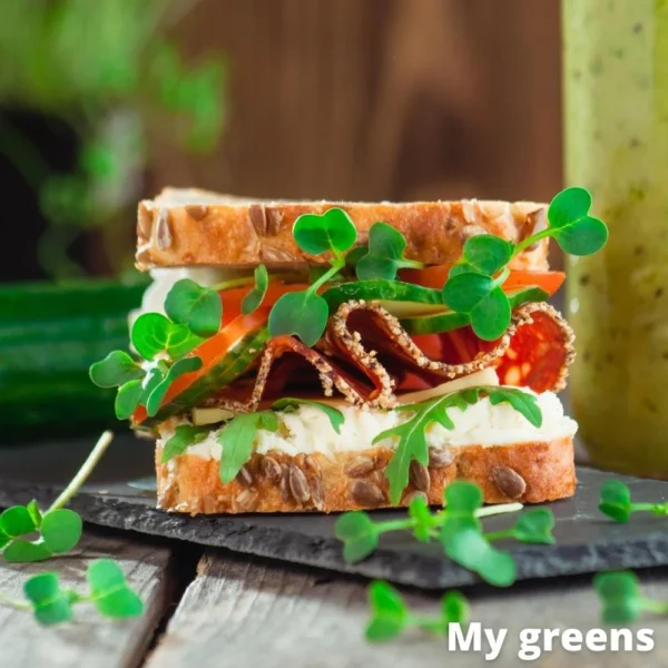 Rukola microgreens semena 40g - Image 4