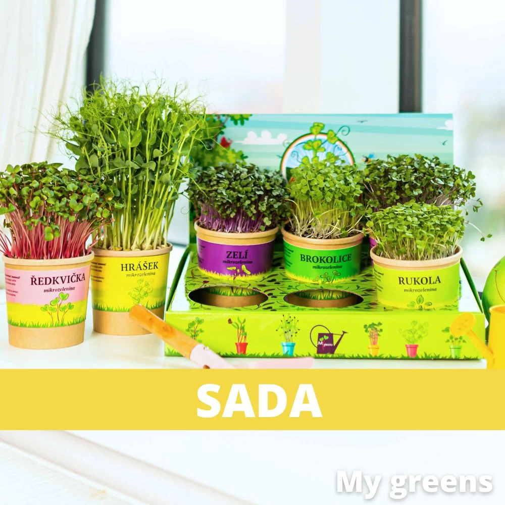 Micro Zahrádka - microgreens sada