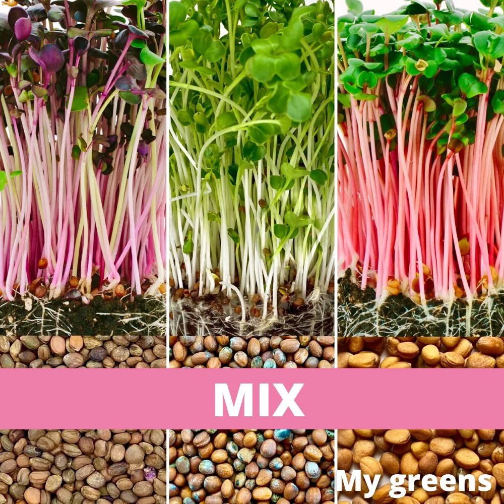 Mix semen Ředkvičky 50g