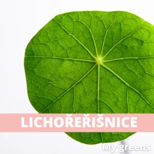 Lichořeřišnice léčiva microgreens semena 10g