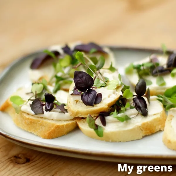 Bazalka červená microgreens semena 5g - Image 5