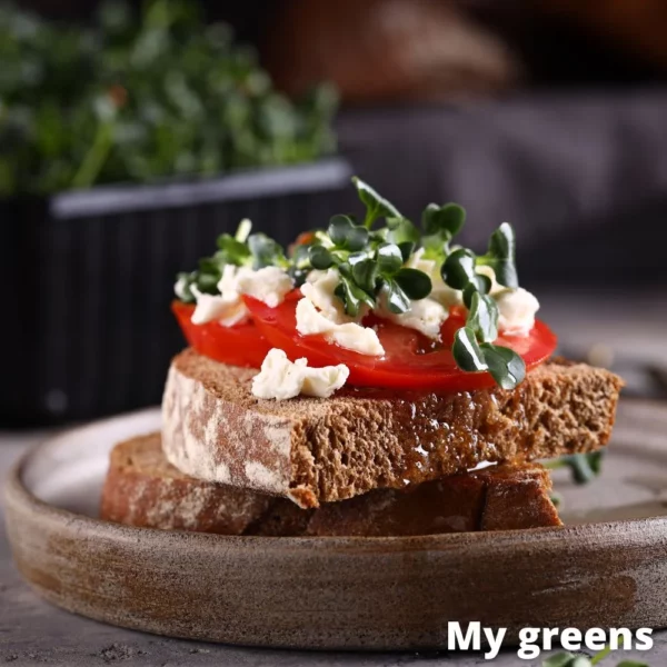 Černá kapusta microgreens semena 40g - Image 4