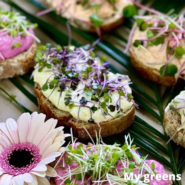 Zelí červené microgreens semena 40g - Image 4