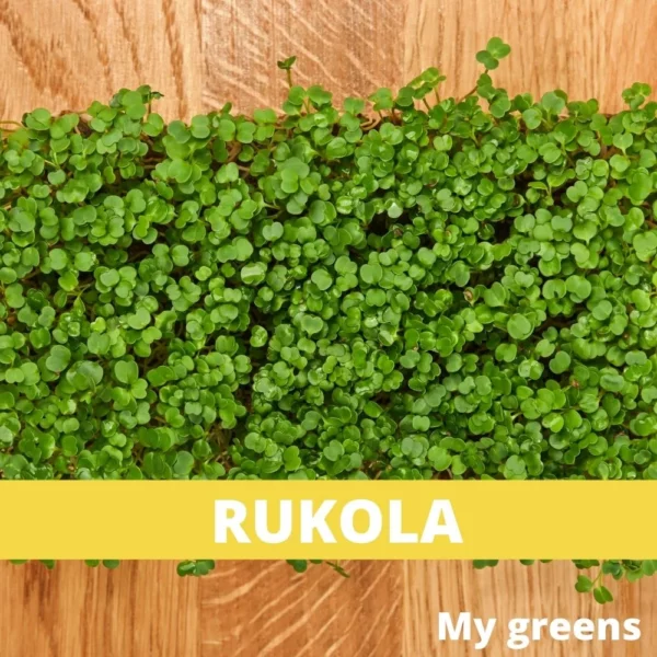 Rukola microgreens semena 40g