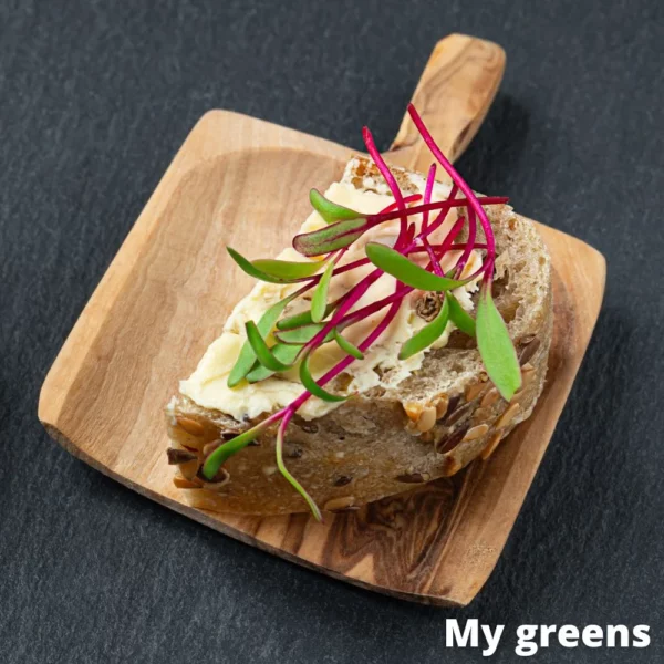 Červená řepa microgreens semena 30g - Image 4