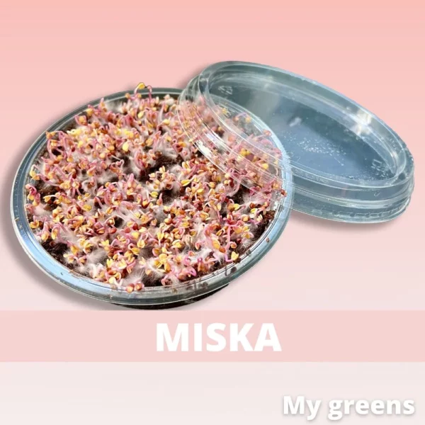 Miska na sázení microgreens - Image 3