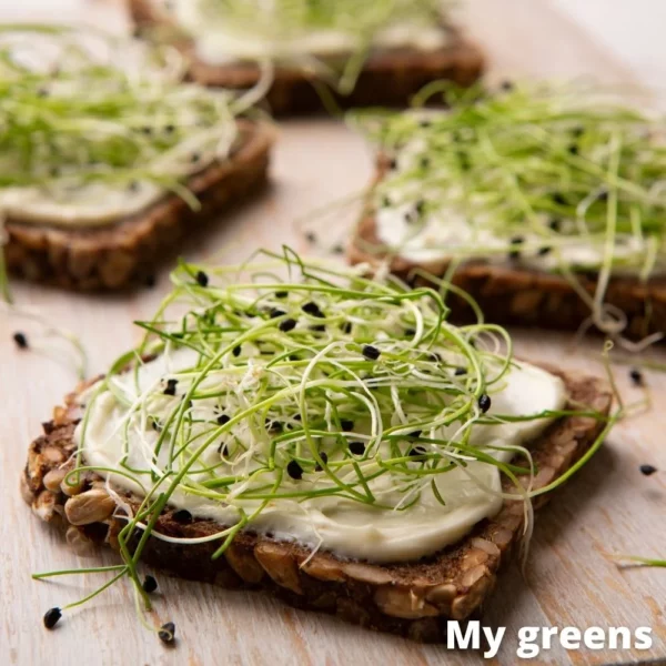 Pórek microgreens semena 30g - Image 4