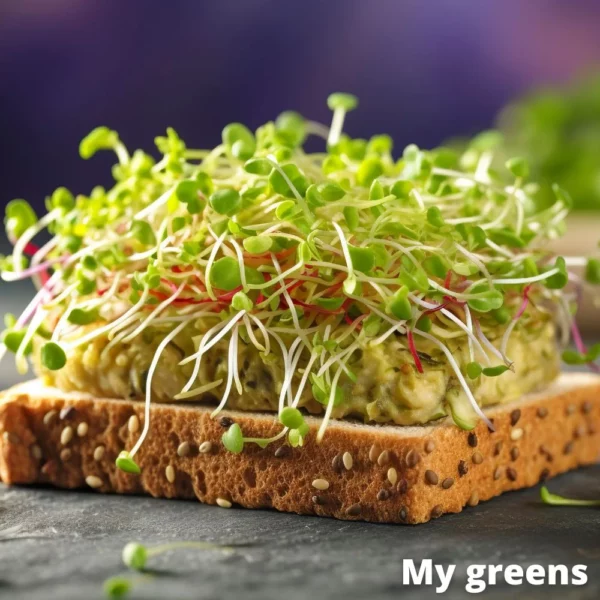 Jetel microgreens semena 30g - Image 4