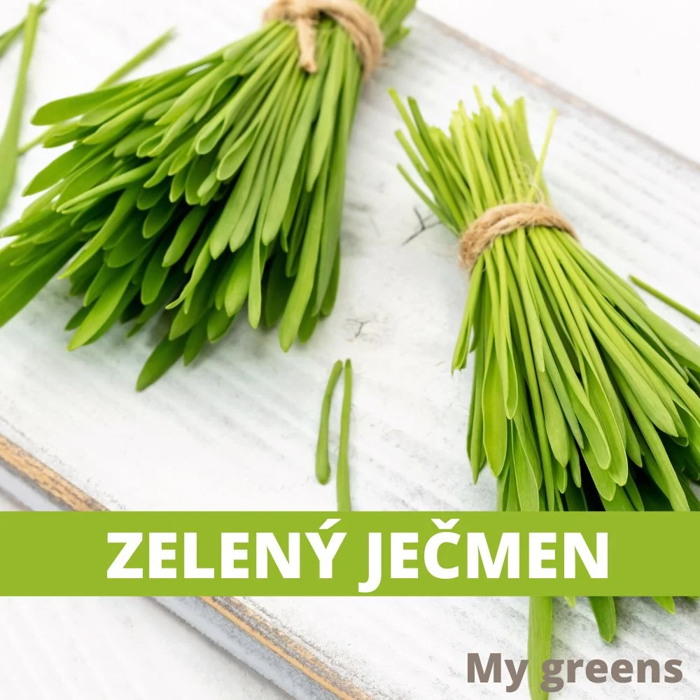Zelený ječmen semena 50g
