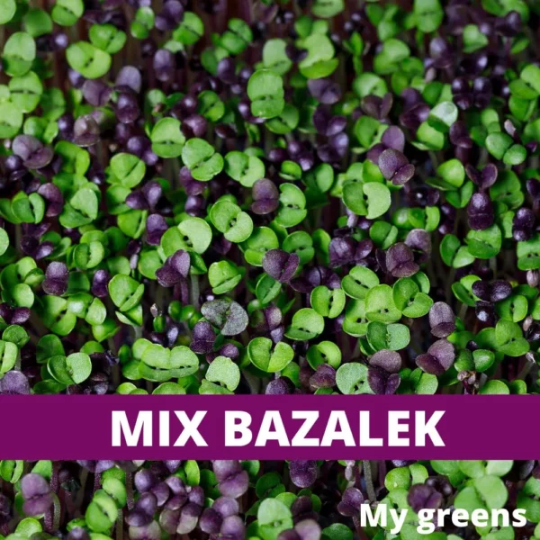 mix bazalek semena