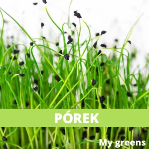 Pórek microgreens semena 30g