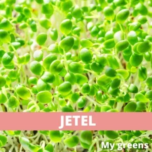 Jetel microgreens semena 30g