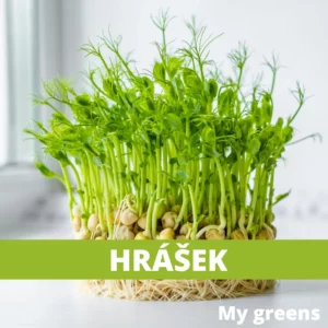 Hrášek microgreens semena 100g
