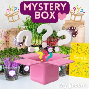 Mystery box